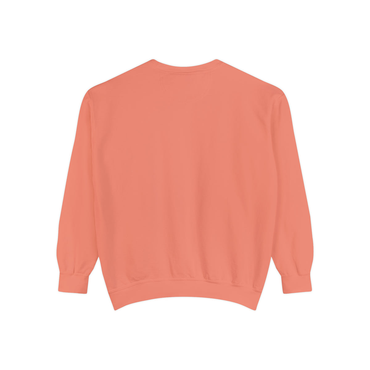 Unisex Garment-Dyed Sweatshirt - Ira World Art LLC